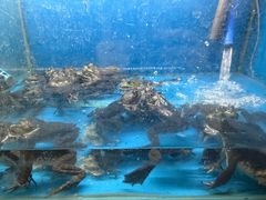 -安吉美渝石锅鱼(芜园西路店)