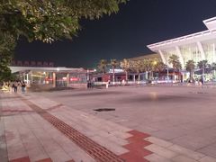 -海口东站