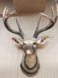 -纯剪男士理发馆·烫染专业店