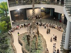 -辽宁古生物博物馆