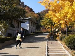 -遵化市禅林寺古银杏风景园