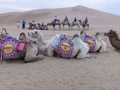 -银肯塔拉沙漠生态旅游景区