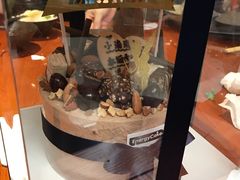 -EnergyCake蛋糕理想国