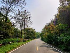 -宝界山林公园