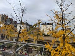 -月圆霖特色农家乐