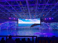 -海合安青岛极地海洋公园