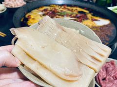 肥龙发鱿鱼-肥龙火锅(南坪店)
