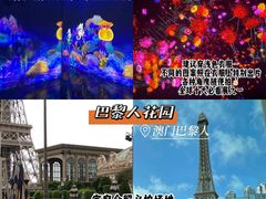 -澳门威尼斯人综合度假区
