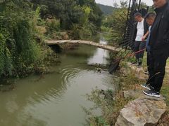 -龙寺生态园