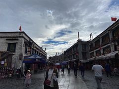 -古树酸奶(八廓南街店)