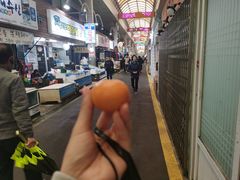 -西归浦每天偶来市场