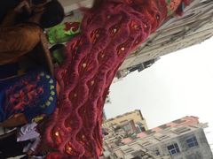 -骑楼老街-冼太夫人纪念馆