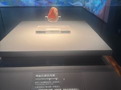 -北京大葆台遗址博物馆