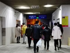 -黄浦江游览快线(金陵东路码头)