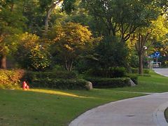 小区环境-长泰东郊御园