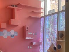 -藏猫猫咖啡主题馆(中央大道店)