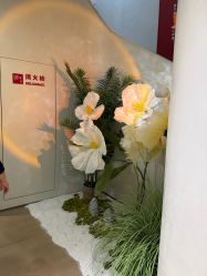 -阅年轻·AI家庭健康体质调理
