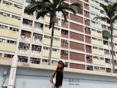 -彩虹村