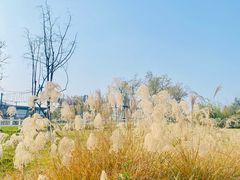 -三圣花乡旅游区