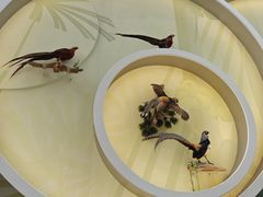 -陕西自然博物馆