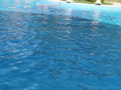 -巅峰减重高端减肥训练营(惠州店)