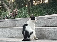 -广州市白云山风景名胜区