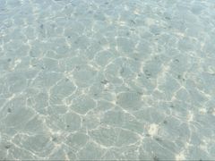 -贝壳沙滩
