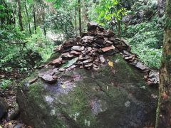 -莫里热带雨林景区