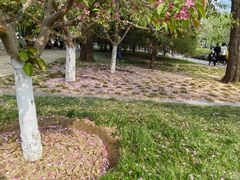 -元大都城垣遗址公园