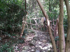 android_upload_pic-牛鱼嘴原始生态风景区