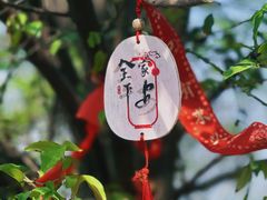 -九真山风景区