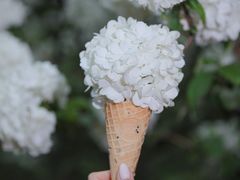 -南溪山景区