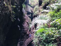 -龙水峡地缝景区