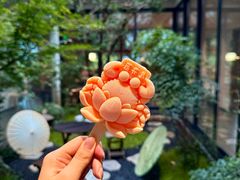 -欢乐蟹庄·精品农家乐(阳澄湖莲花岛店)