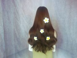 -MG Style Salon