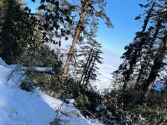 -瓦屋山景区