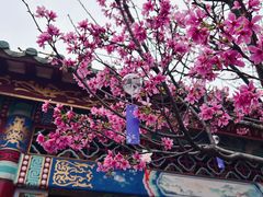 -宝墨园景区