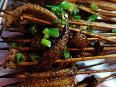 鳝鱼-晓靖轩烧烤(沙河风情店)