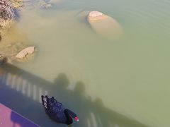 -厦门悦华酒店