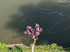 -美兰湖景区