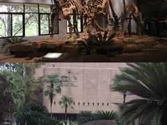 -自贡恐龙博物馆