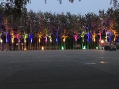 -枫花园汽车电影院(朝阳公园店)