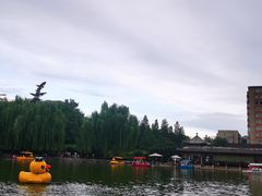 -团结湖公园