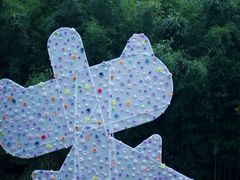 -黄海国家森林公园