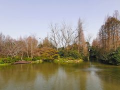 -上海滨江森林公园