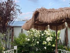 -Jo's Garden