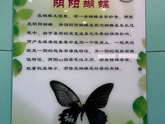 -上海昆虫博物馆