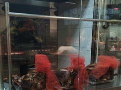 -全聚德烤鸭店(准噶尔路店)