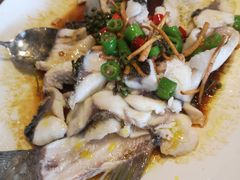 羗麻蒸草鱼-顺德了能馆(虎门店)