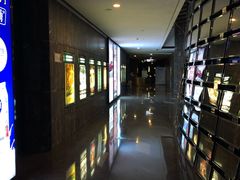 -武商摩尔影城(国广IMAX激光店)